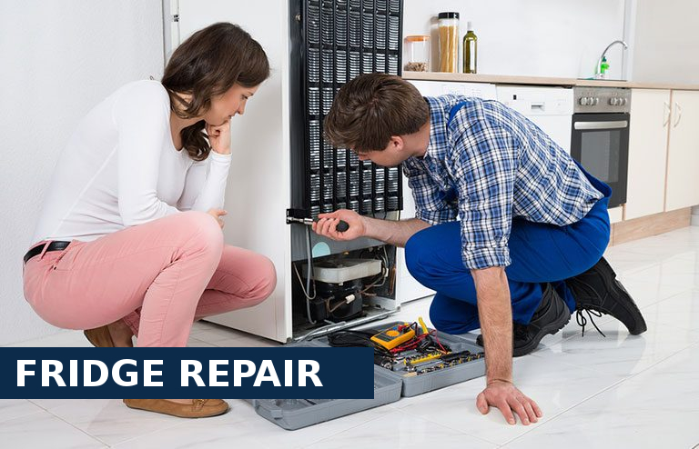 Fridge Repair Hounslow West